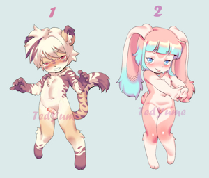 ADOPTABLES TIGER & BUNNY