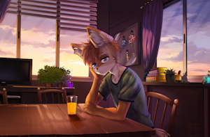 Sunset at home