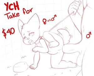 Pet R2 YCH OPEN