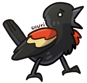 redwinged blackbird