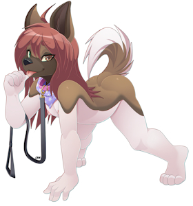 Commission for Anonymous