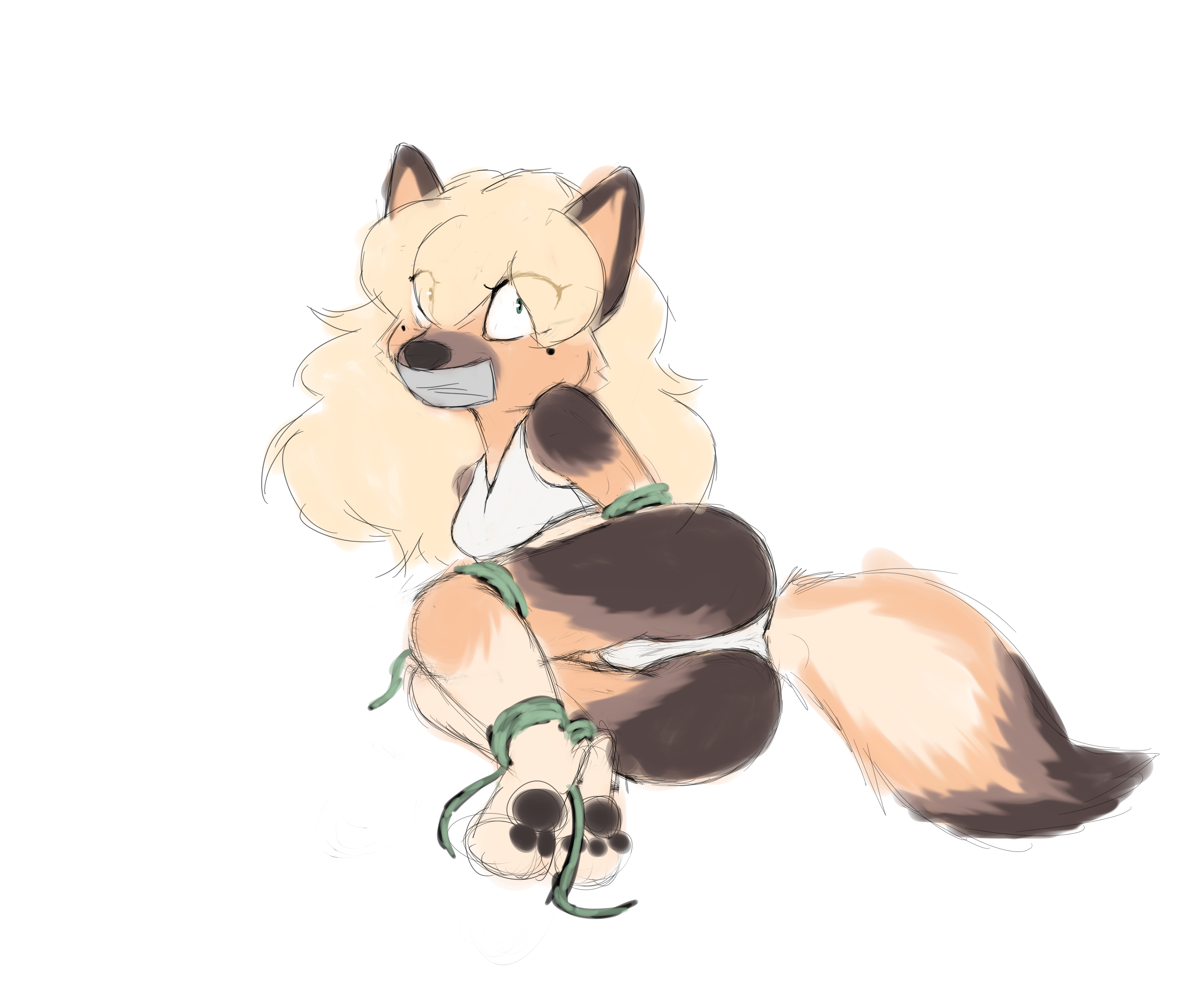 4954763_Smolfoks_nina3.png