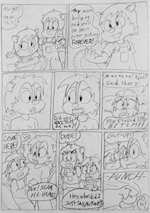 Boycarrot 55