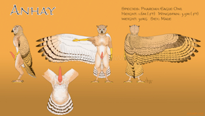 Anhay Reference Sheet (NSFW)
