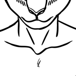 Roo Boy's Solicitation