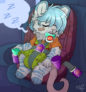 Car nap