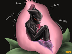 eternal comfort