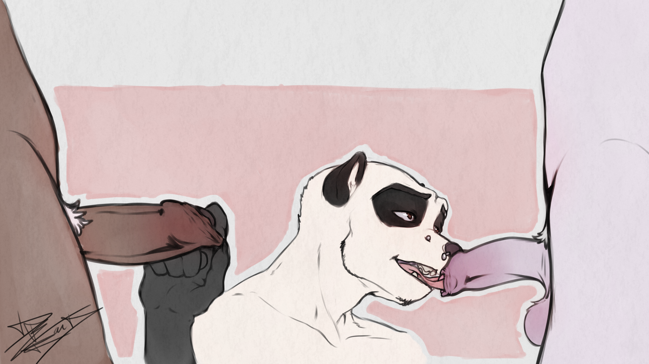 4978411_RaccoonDouglas_pubraz.png