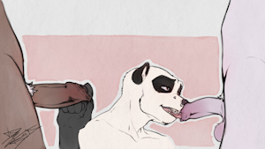 4978411_RaccoonDouglas_pubraz.png