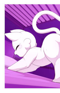 Lotion Cat
