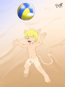 Volley!!!!