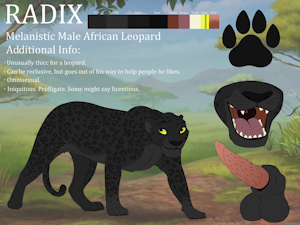 Radix The Panther