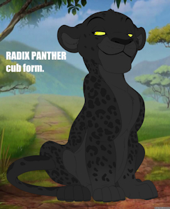 Radix CUB FORM!? WHAT!?
