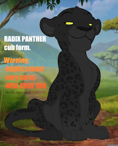 4982836_Backlash91_radix_cub.png