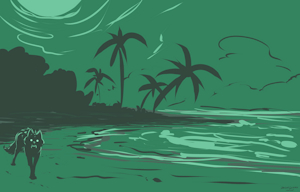 Night Beach Wolf