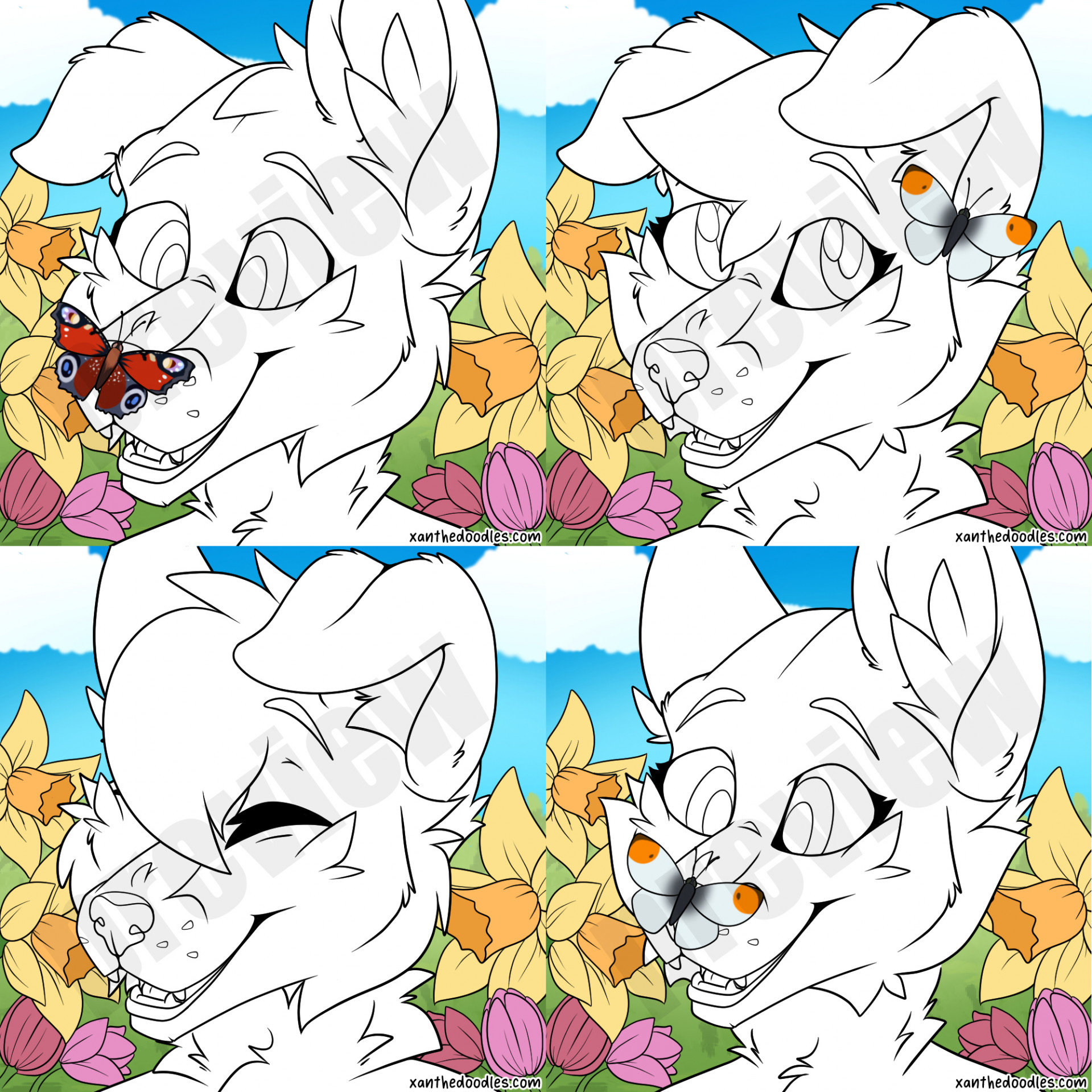 4983818_Xanthe_1711466249.xanthewolf_preview2.jpg