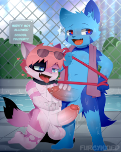 649 - Inside the School Pool