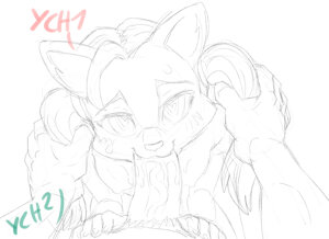 closed 24h-Auction: Pigtails