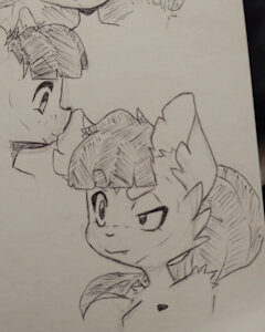 Sketches