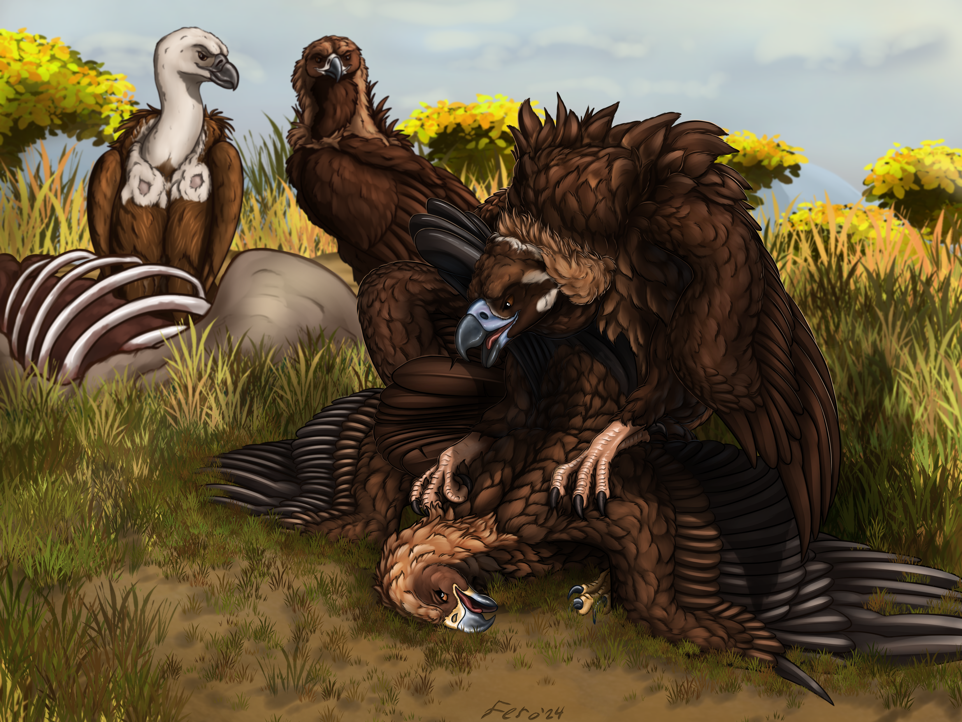 5000416_Ferobird69_pecking_order_clean_small.png