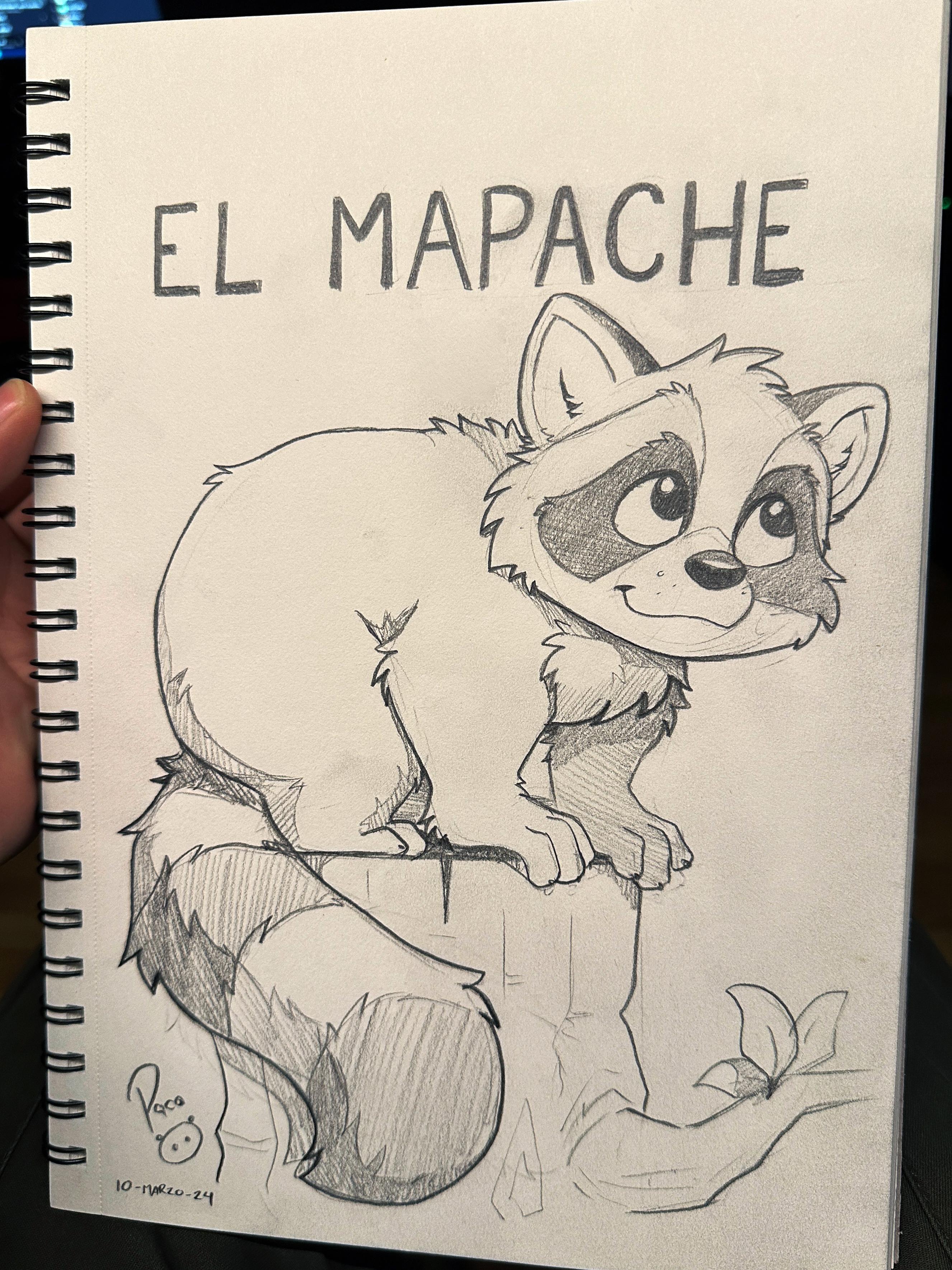 5000519_pandapaco_1116mapache2.jpg