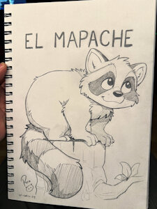 5000519_pandapaco_1116mapache2.jpg