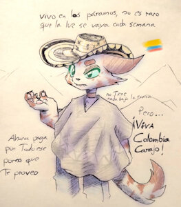 Colombian cat