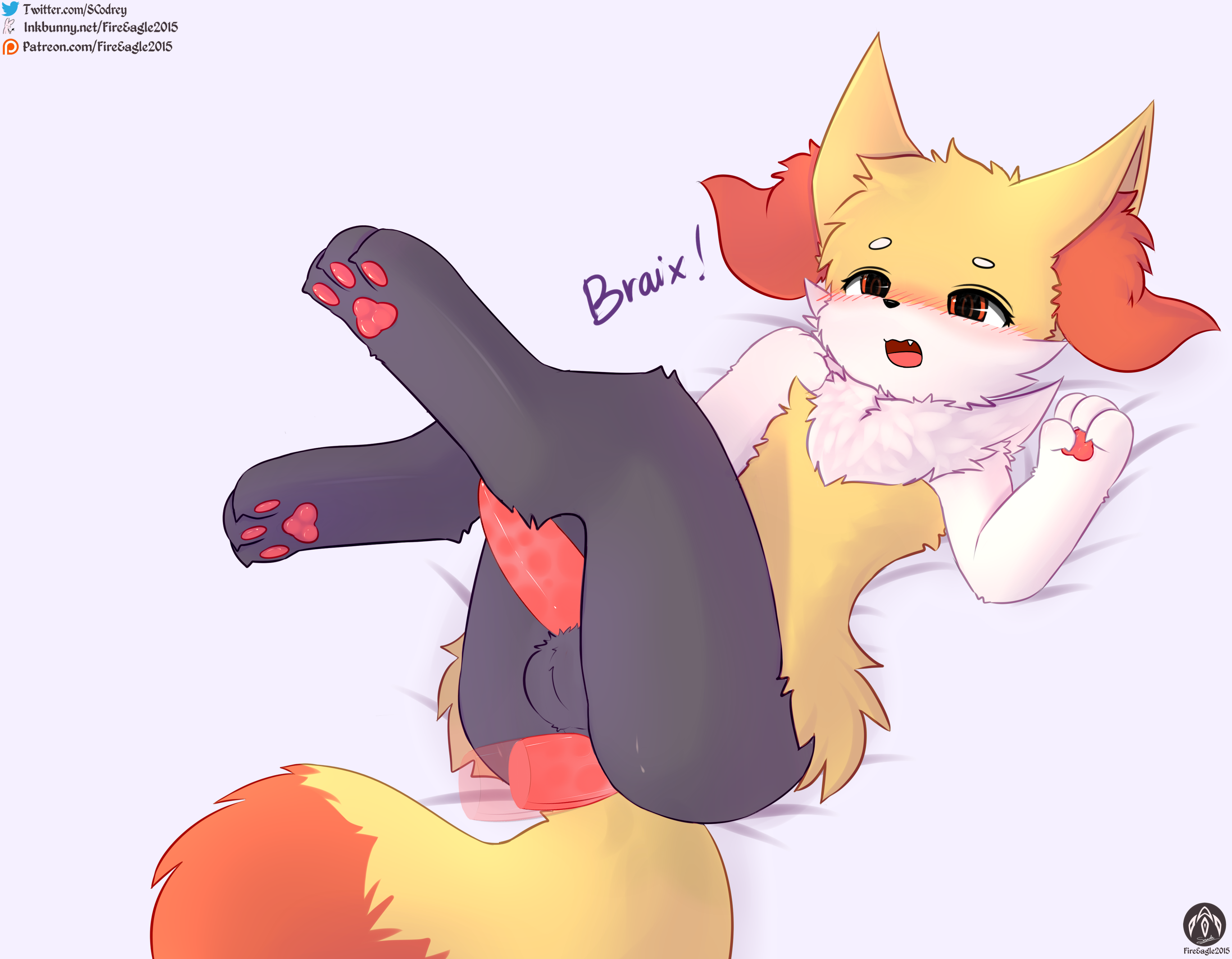 5001843_FireEagle2015_braixen_m_5_.png