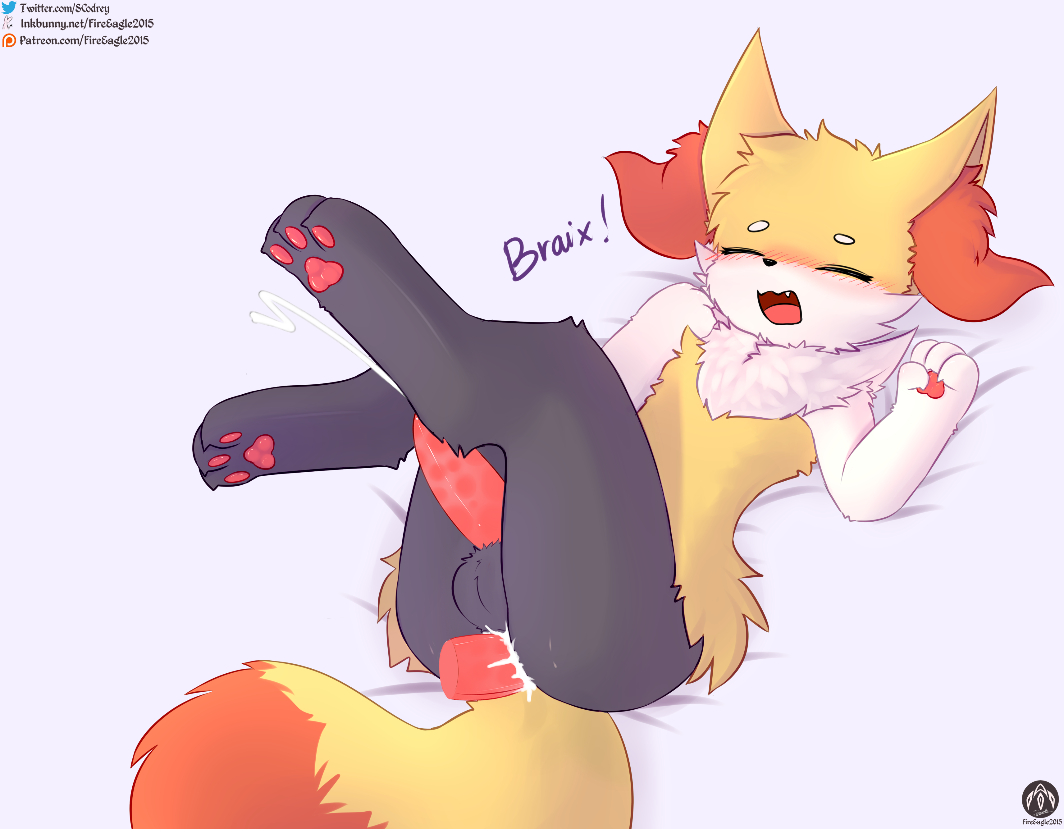 5001845_FireEagle2015_braixen_m_7_.png