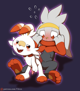 Lil bunny initiative