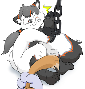 [G] Shin bone broken
