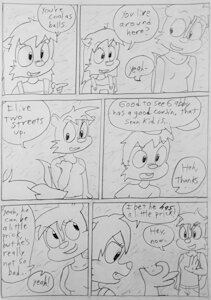 Boycarrot 72