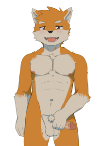 orange dog