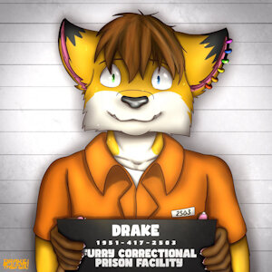 Drake's mugshot