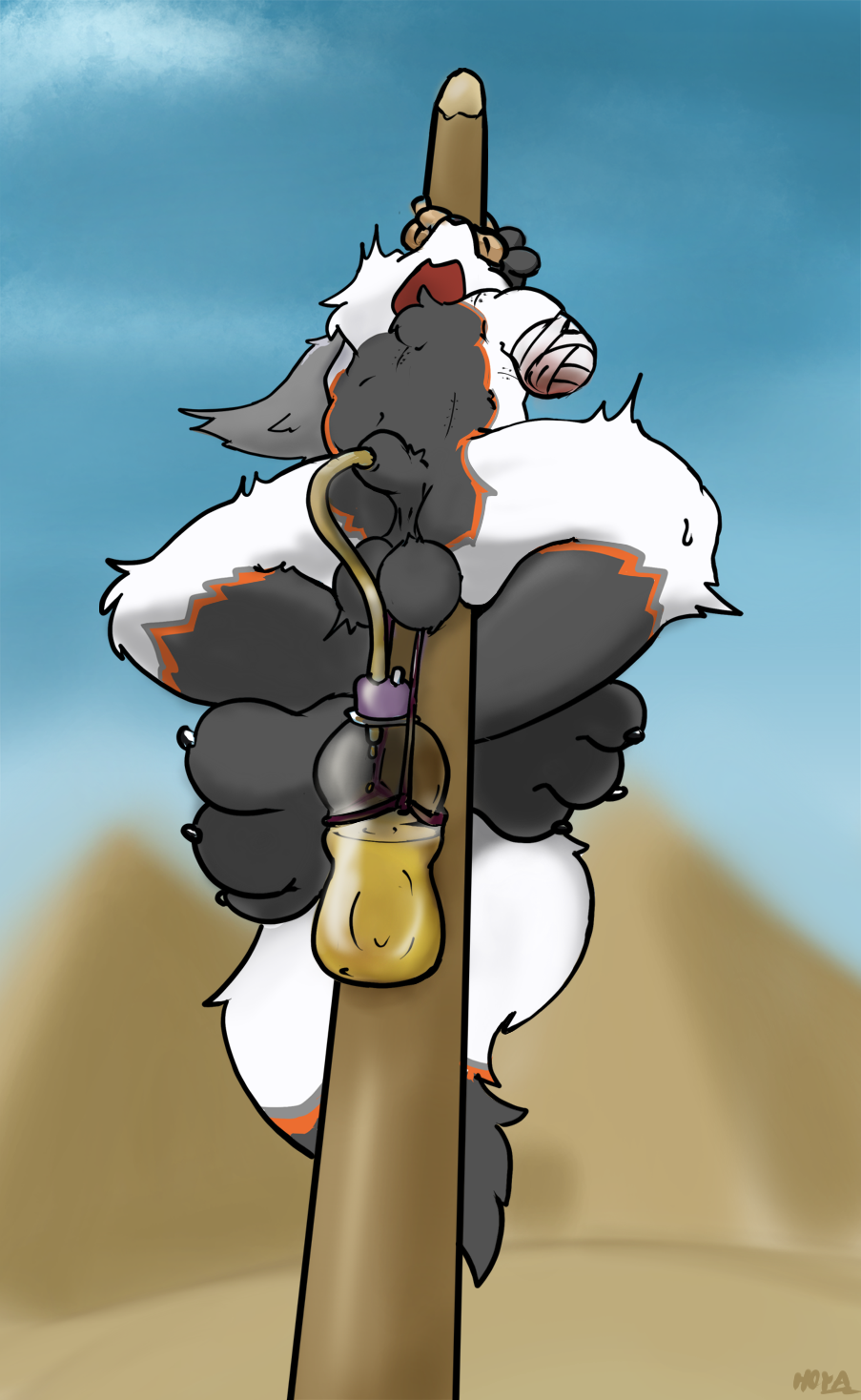 5011654_Hoya82_240428-pee_become_weight.png