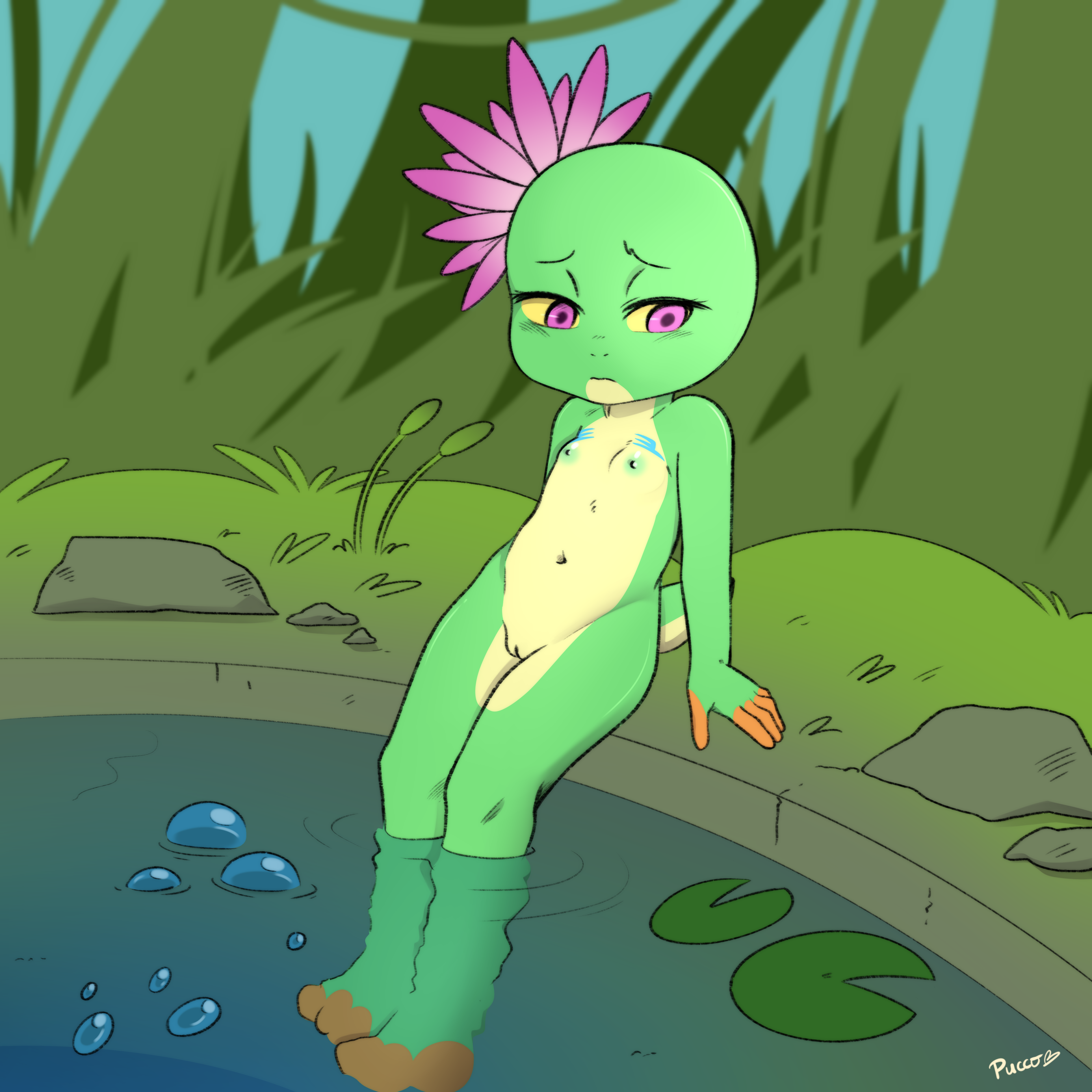 5015215_pucco_3.png