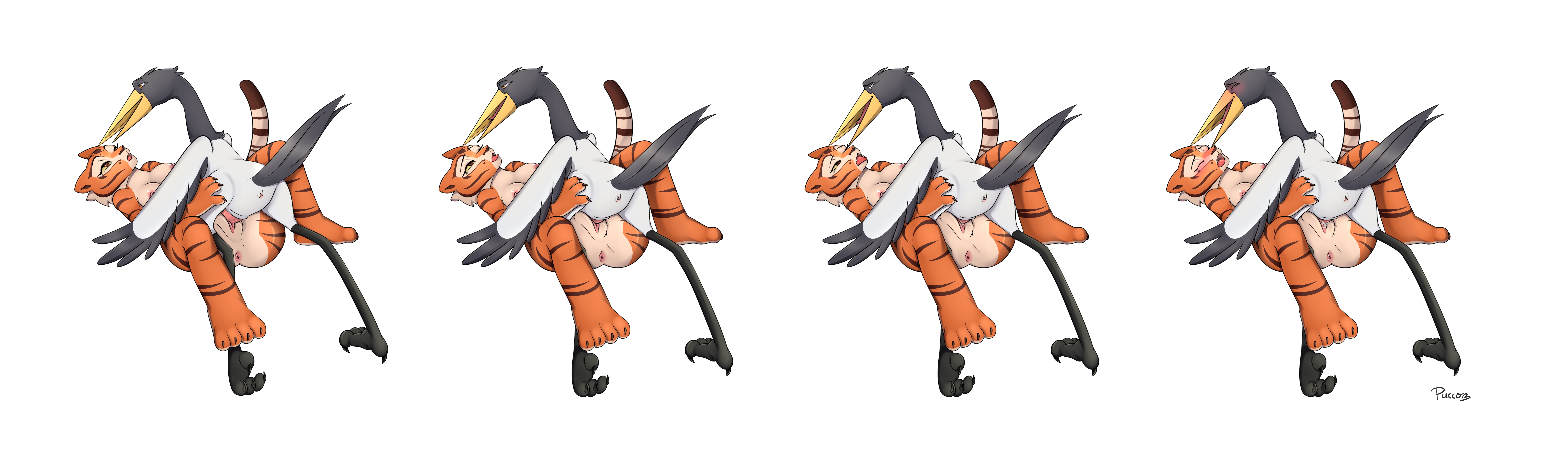 5015374_pucco_2.png