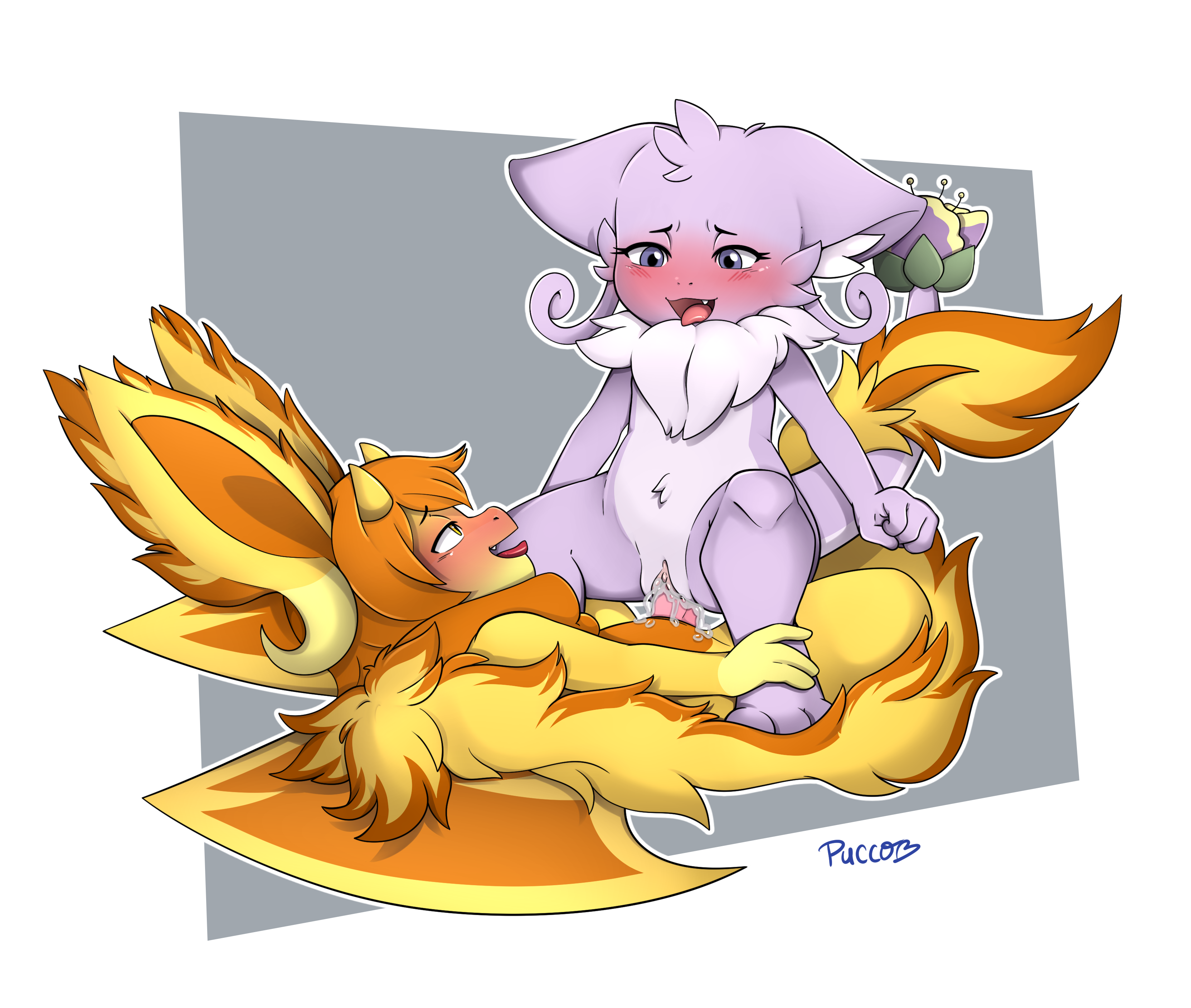 5015415_pucco_2.png