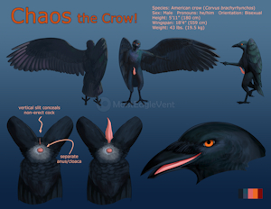 Chaos Ref Sheet (NSFW)