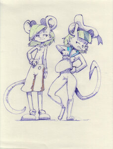 Donald and Mickey