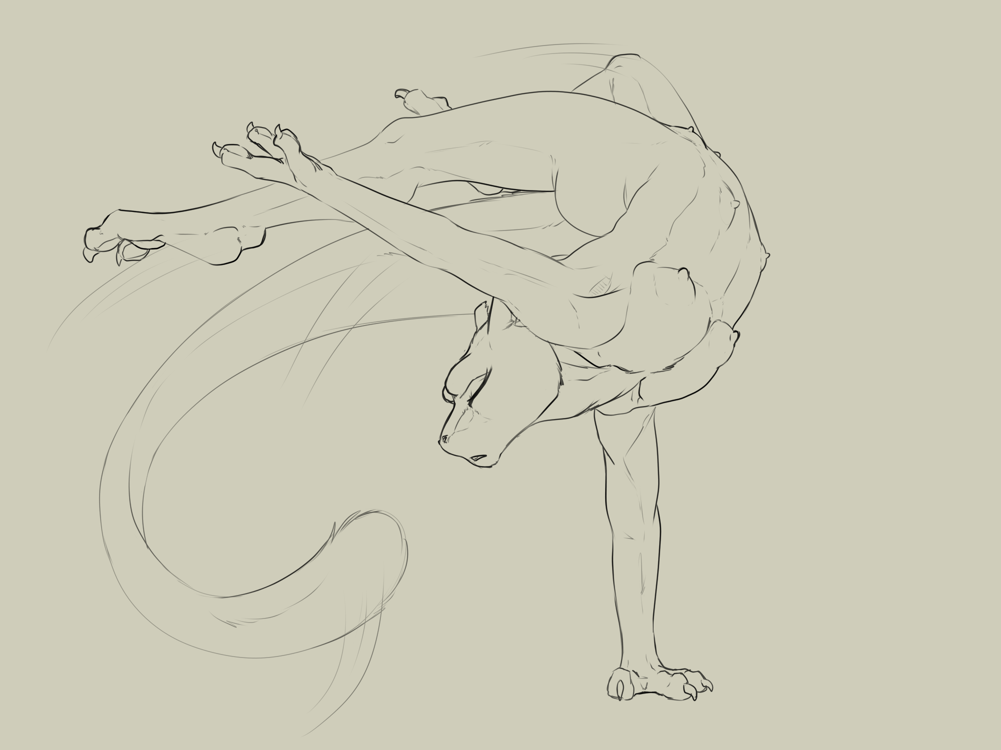 5030733_Backlash91_mewtwo_lemme_smash_3.png
