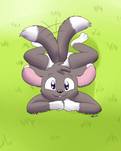 softie grass