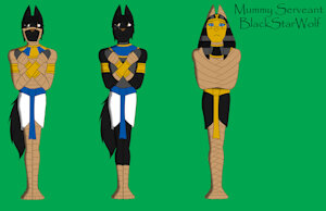 BlackStarWolf: Mummy Servant and Sarcophagus