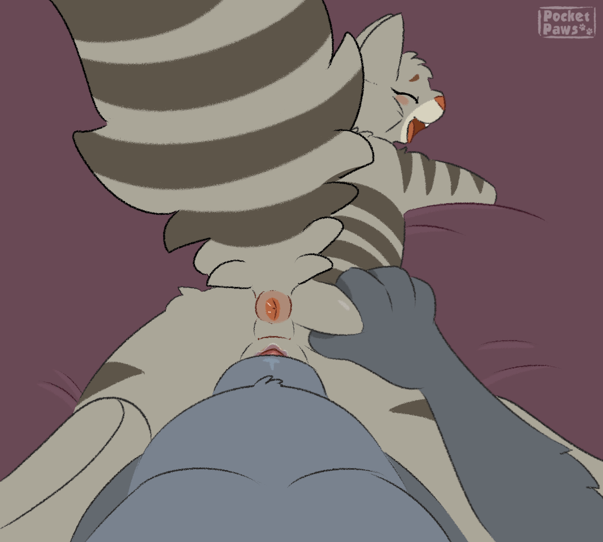 5036096_PocketPaws_9_quincyconnally_-_knottedloop_nocum_nohair_.gif