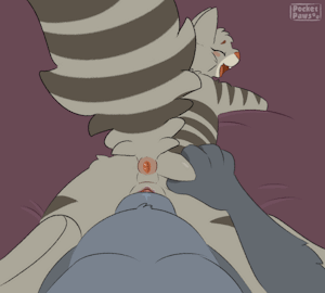 5036096_PocketPaws_9_quincyconnally_-_knottedloop_nocum_nohair_.gif