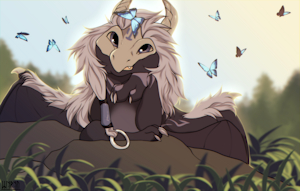 Dreamer