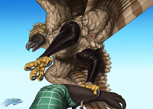5040715_Ferobird69_pirate_comm_ver_1_c.png
