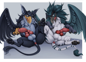 Birds Birds