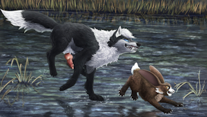 Chasing tail - by Darknessis