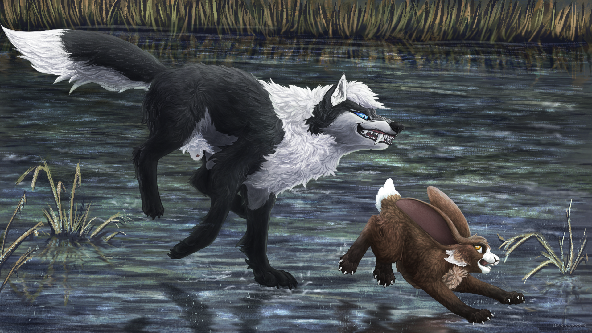5044622_Nightdancer_chasing_tail.png